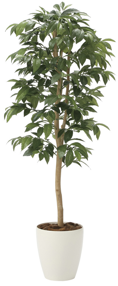 【人工観葉植物　光触媒】アルデシア（万両）1.3　高さ1.3m