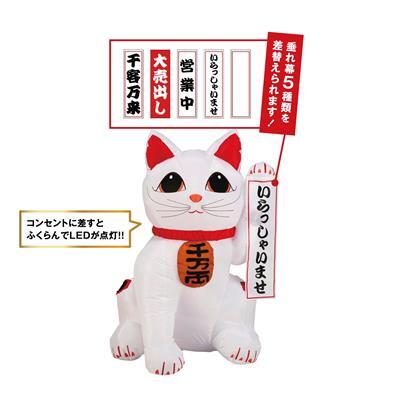 【年末年始】ｴｱﾃﾞｨｽﾌﾟﾚｲ まねきねこ 125㎝  (税抜き単価19800円)